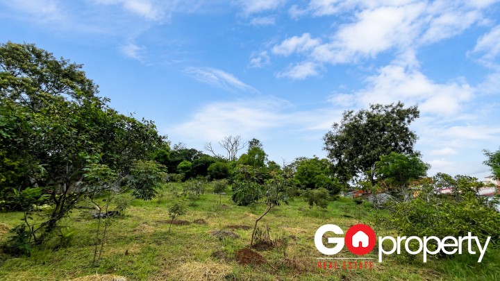 Venta de lote para Desarrollo Residencial - Dos Cercas Desamparados