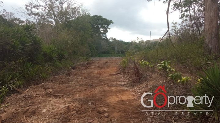 Venta de lote en Palmares, Alajuela