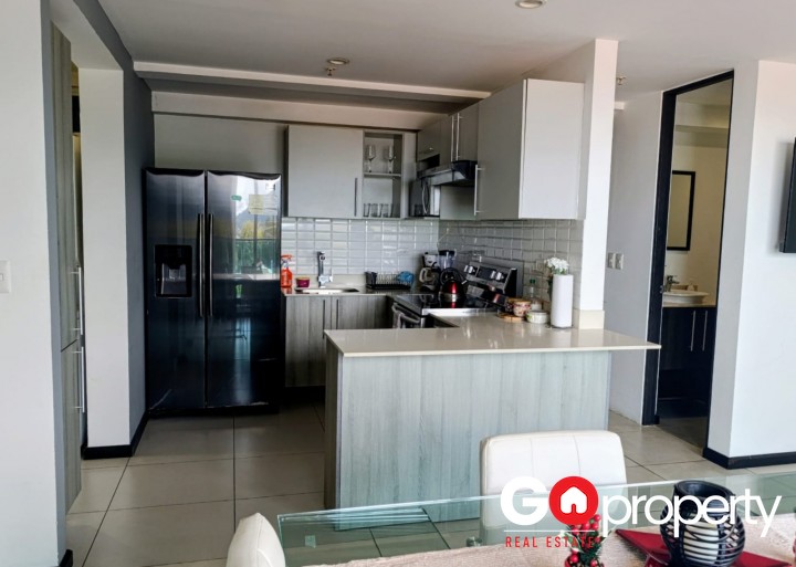 Alquiler de apartamento amueblado en Sabana Sur con vista a las montañas